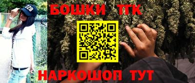 трава Сланцы