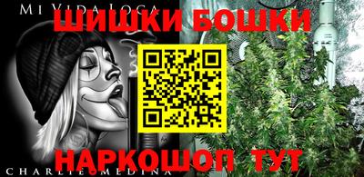 трава Сланцы