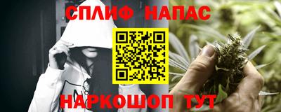 трава Сланцы