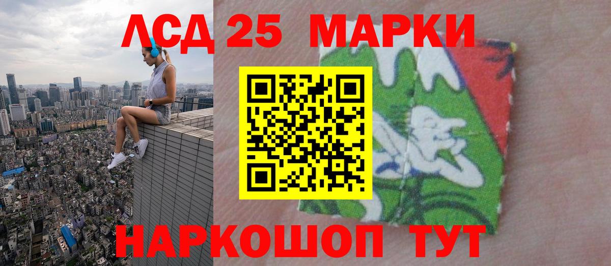 Лсд 25 экстази кислота  Вход с VPN  Ноябрьск 