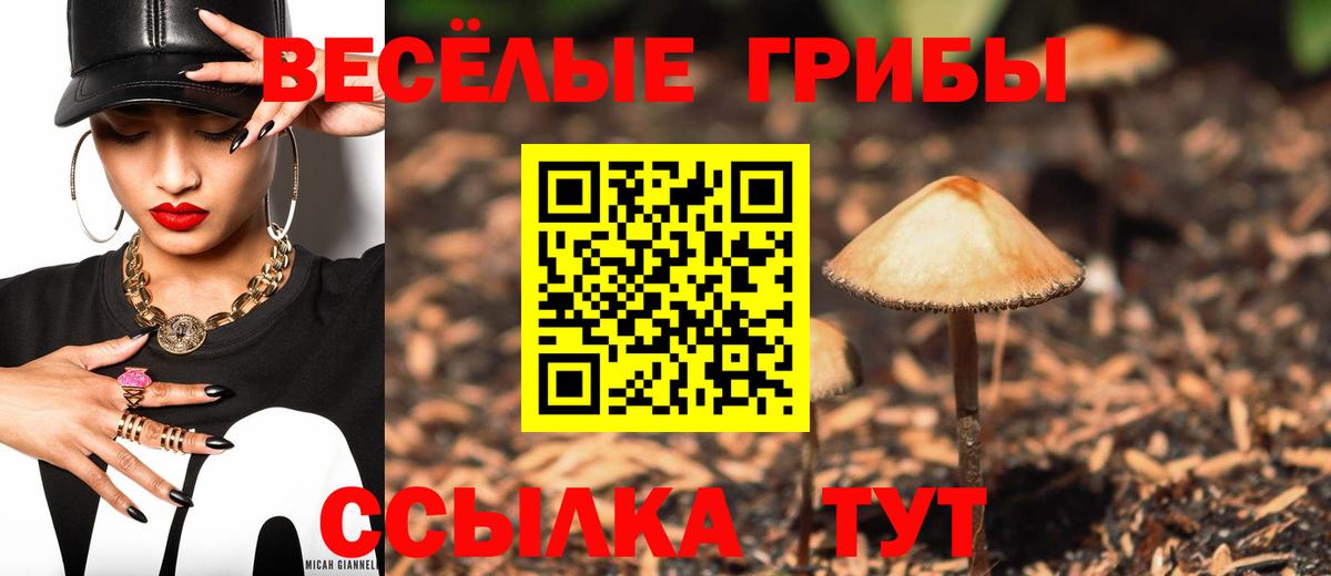 Галлюциногенные грибы Cubensis Ноябрьск